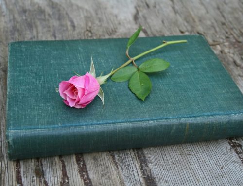 Novel Writing 101: Understanding Plot and Story