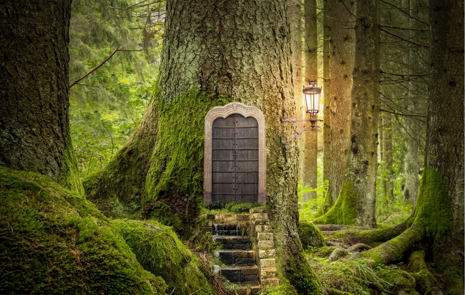 iStock-612010302