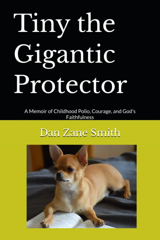 Tiny the Gigantic Protector